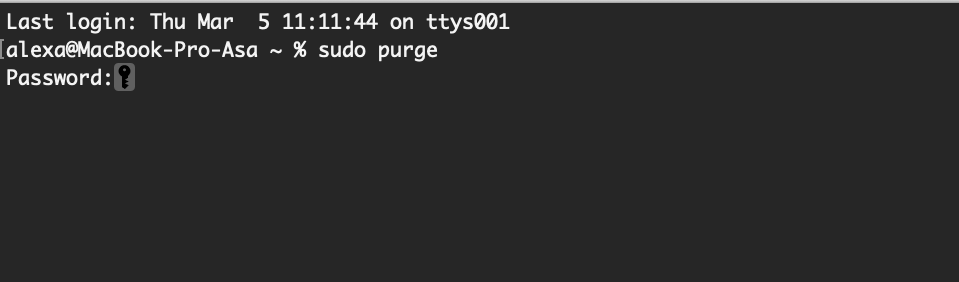 Purge RAM With Terminal