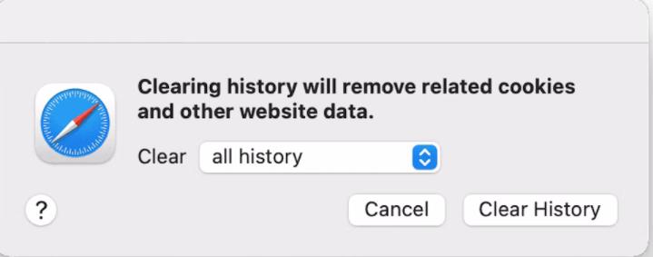 How to clear Safari history