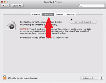 What Is FileVault Disk Encryption