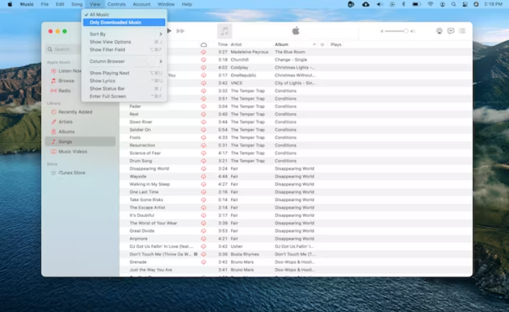 Duplicates in Apple Music