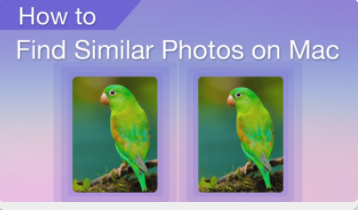 Find and Remove Similar Images on Mac