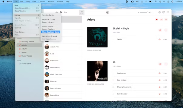 Find Duplicates in Apple Music