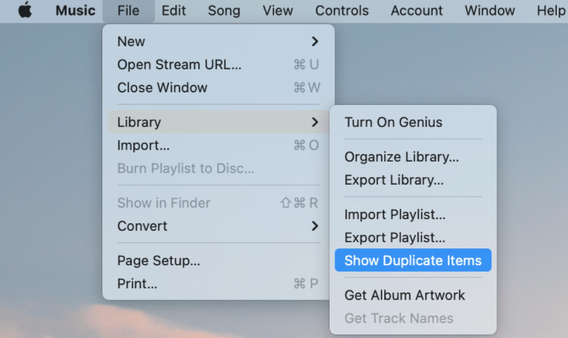 Use iTunes to Delete Duplicate Tracks