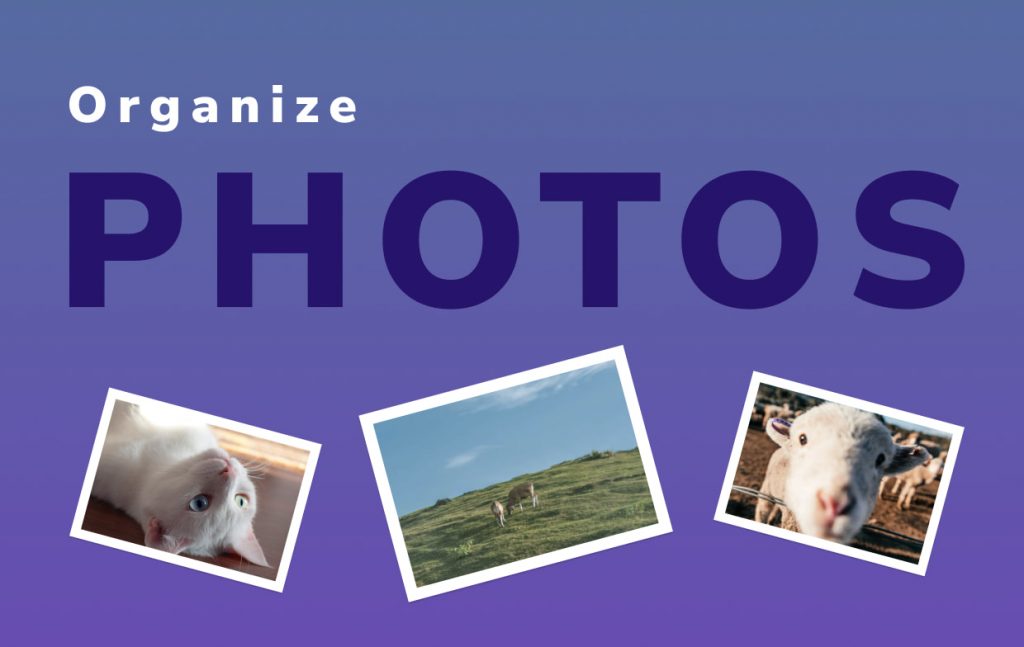 Organize Photos on Mac