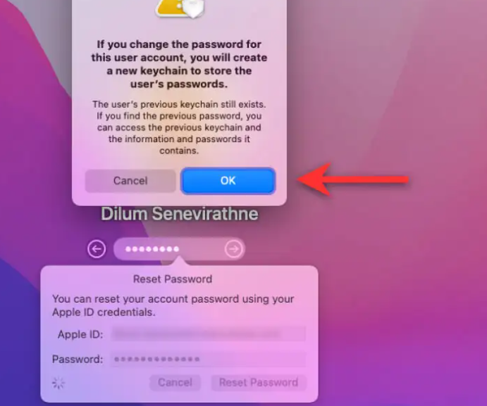 Use Your Apple ID to Reset the Password