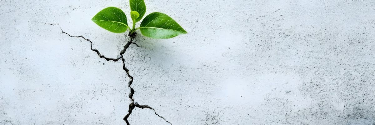 Resilience Geliştirme Rehberi